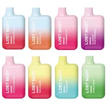 Lost Mary 600 Rechargeable category