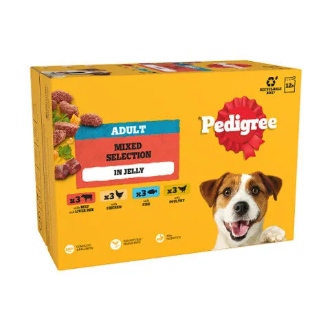 PEDIGREE® Adult Wet Dog Food Mixed Selection in Jelly 12 x 100g Pouch
